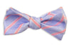 Pink and Blue Linen Stripe Bow Tie by High Cotton - Country Club Prep