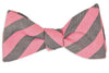 Pink and Navy Oxford Stripe Bow Tie by High Cotton - Country Club Prep