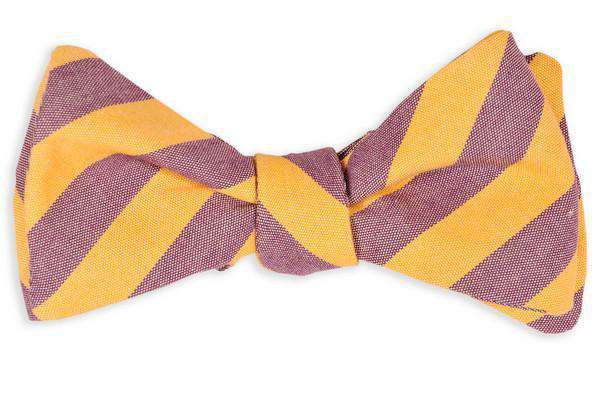 Purple and Gold Oxford Stripe Bow Tie by High Cotton - Country Club Prep