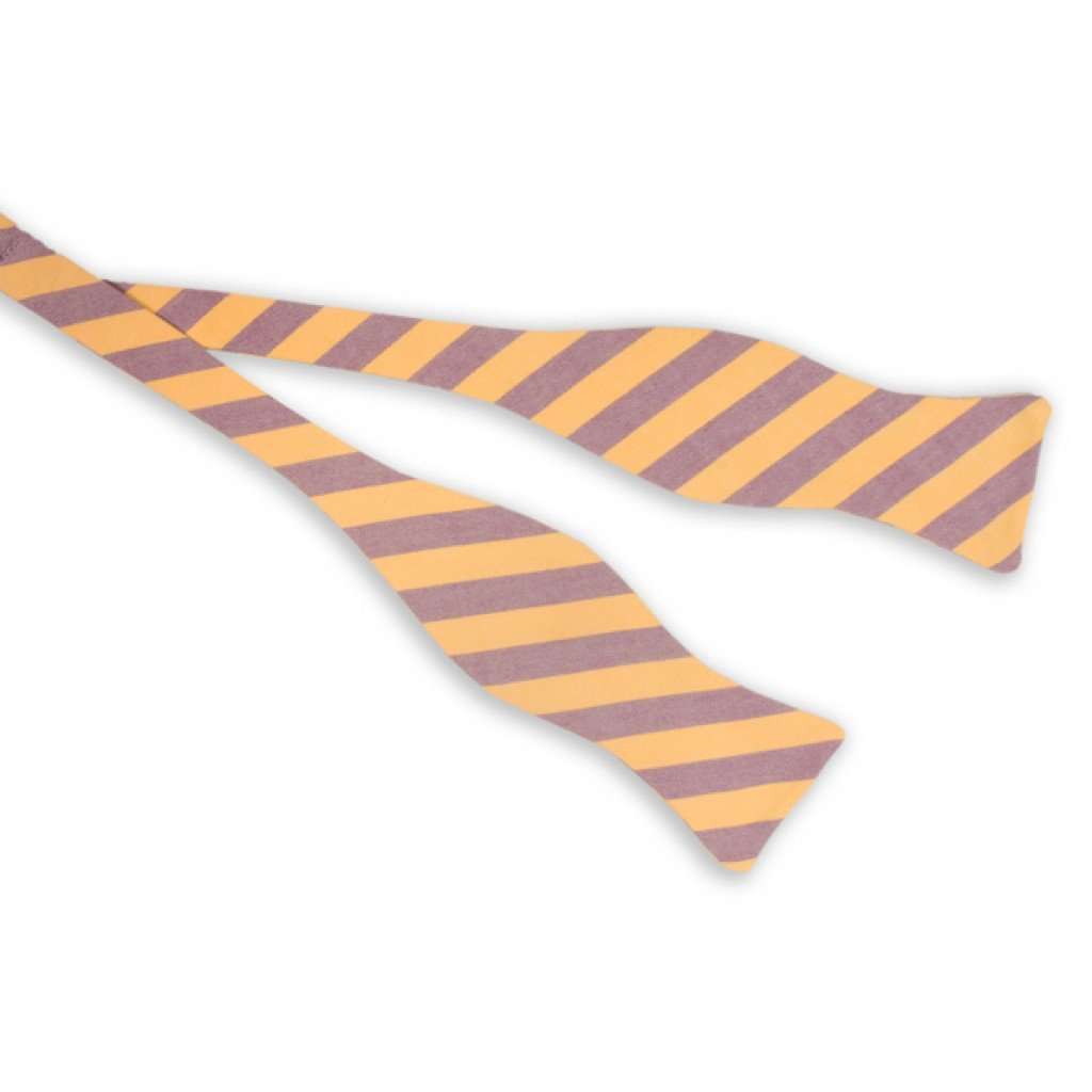 Purple and Gold Oxford Stripe Bow Tie by High Cotton - Country Club Prep