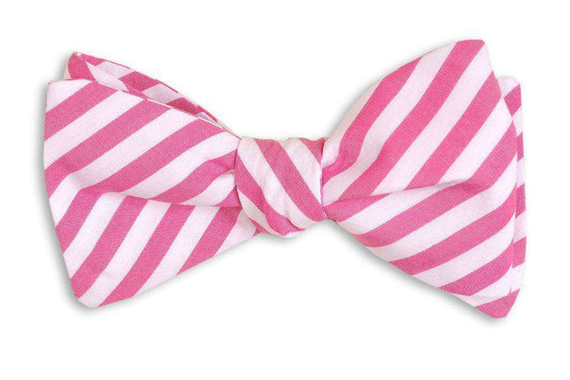 Raspberry Stripe Bow Tie in Pink by High Cotton - Country Club Prep