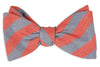 Red and Washed Blue Oxford Stripe Bow Tie by High Cotton - Country Club Prep