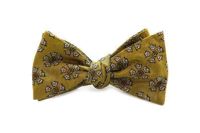Dogwood Black Sigma Nu Bow Tie in Gold – Country Club Prep