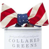 Stars and Stripes Mixer Bow in Red, White and Blue by Collared Greens - Country Club Prep