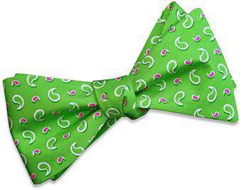 Tasty Paisley Bow Tie in Lime by Bird Dog Bay - Country Club Prep
