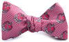 Tau Kappa Epsilon Bow Tie in Red by Dogwood Black - Country Club Prep
