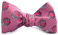 Tau Kappa Epsilon Bow Tie in Red by Dogwood Black - Country Club Prep