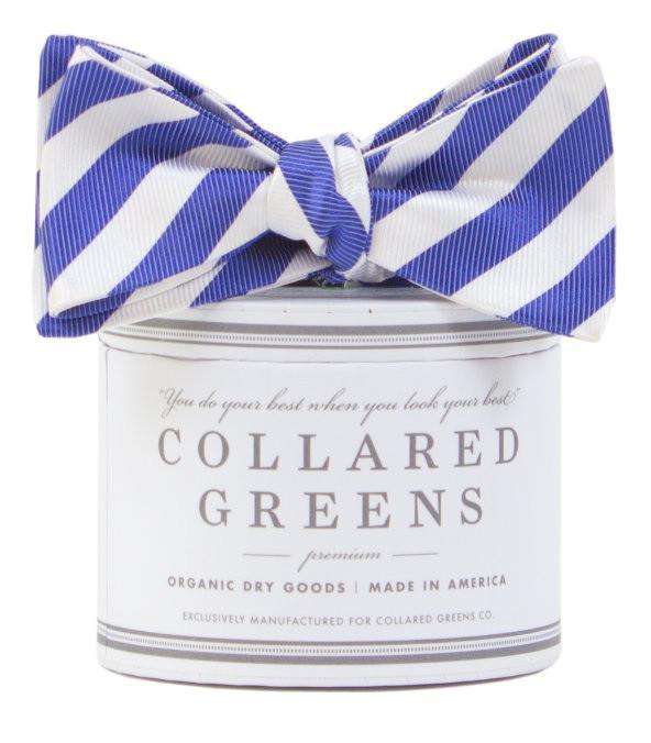 The Collegiate Bow in Blue/White by Collared Greens - Country Club Prep