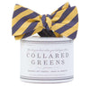 The Collegiate Bow in Navy/Gold by Collared Greens - Country Club Prep