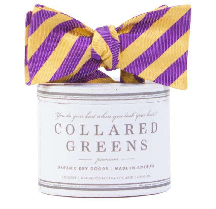 The Collegiate Bow in Purple/Gold by Collared Greens - Country Club Prep