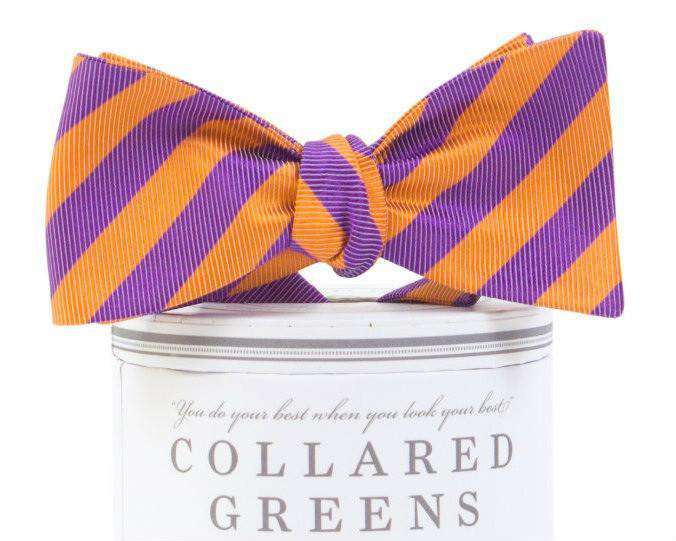 The Collegiate Bow in Purple/Orange by Collared Greens - Country Club Prep