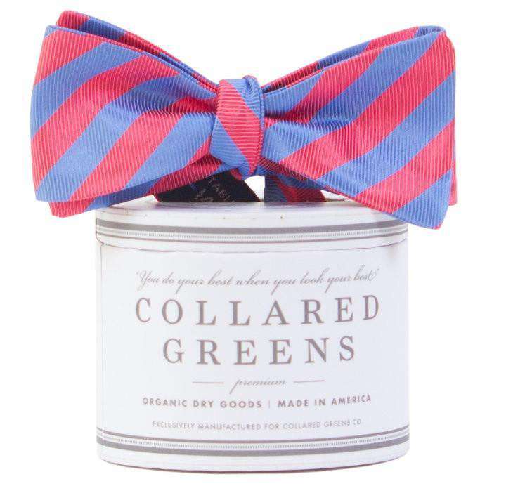 The Collegiate Bow in Red/Blue by Collared Greens - Country Club Prep
