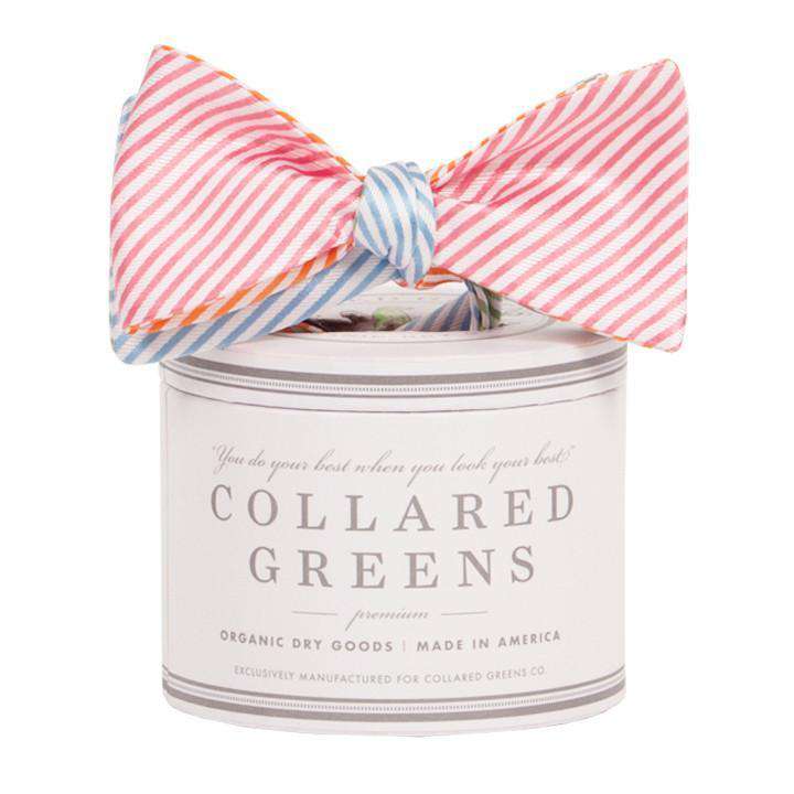 The Four Panel Stripes Bow in Pink/Green/Blue/Orange by Collared Greens - Country Club Prep