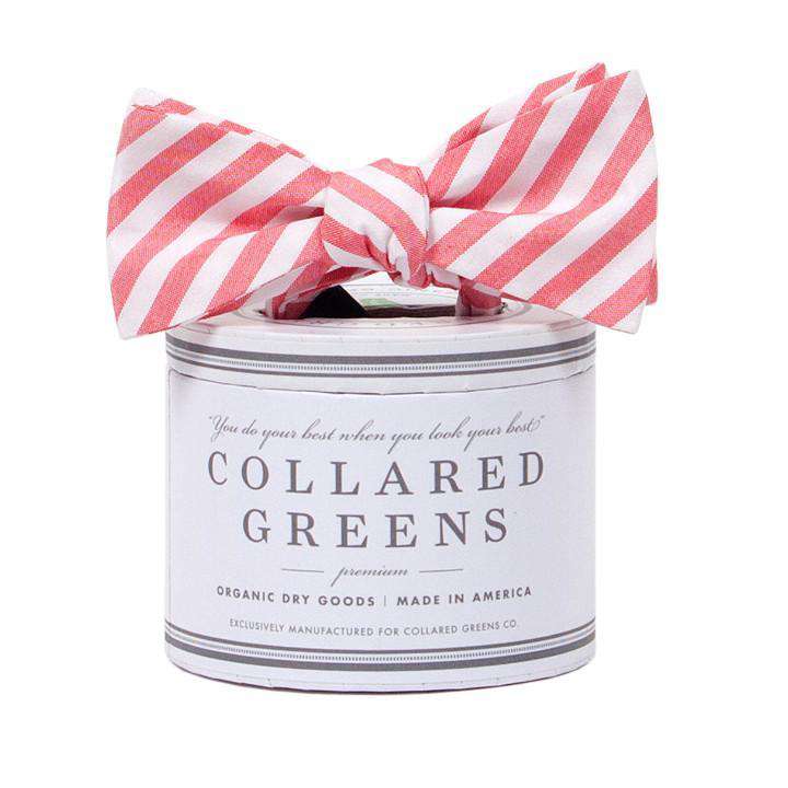 The Kiawah Bow in Red and White by Collared Greens - Country Club Prep