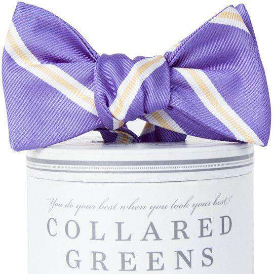 The Martin Bow Tie in Purple and Gold by Collared Greens - Country Club Prep