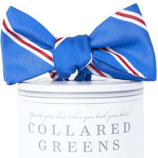 The Martin Bow Tie in Royal Blue and Red by Collared Greens - Country Club Prep