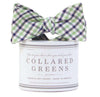 The Mitchell Bow in Green/Blue by Collared Greens - Country Club Prep