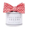 The Pebble Bow in Pink by Collared Greens - Country Club Prep