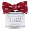 The Pig Bow Tie in Red/Pink by Collared Greens - Country Club Prep