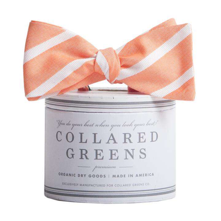 The Sawgrass Bow in Orange and White by Collared Greens - Country Club Prep
