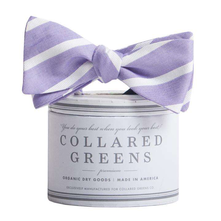 The Sawgrass Bow in Purple and White by Collared Greens - Country Club Prep