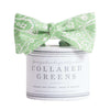 The Seaside Paisley Bow in Green by Collared Greens - Country Club Prep