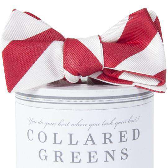 The Torrey Bow in Red and White by Collared Greens - Country Club Prep