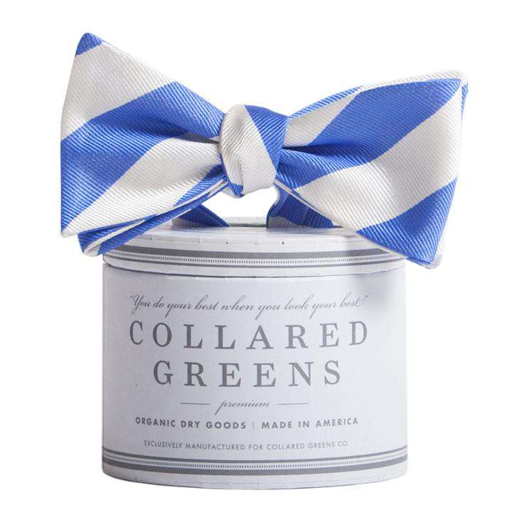 The Torrey Bow in Royal Blue and White by Collared Greens - Country Club Prep