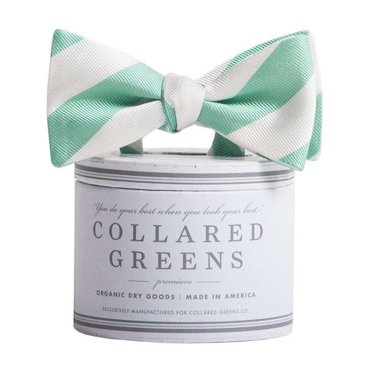 The Torrey Bow in Teal and White by Collared Greens - Country Club Prep