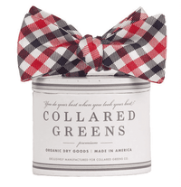 The USA Quad Bow in Red, White and Blue by Collared Greens - Country Club Prep