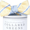 Triple Crown Mixer Bow in Gold and Blue by Collared Greens - Country Club Prep