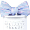 Trout Bow in Sky Blue by Collared Greens - Country Club Prep