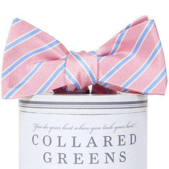 Whitman Bow Tie in Pink & Carolina Blue by Collared Greens - Country Club Prep