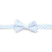 Wide Carolina Blue Stripe Bow Tie by High Cotton - Country Club Prep