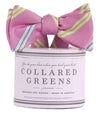 Zenyatta Bow in Pink by Collared Greens - Country Club Prep