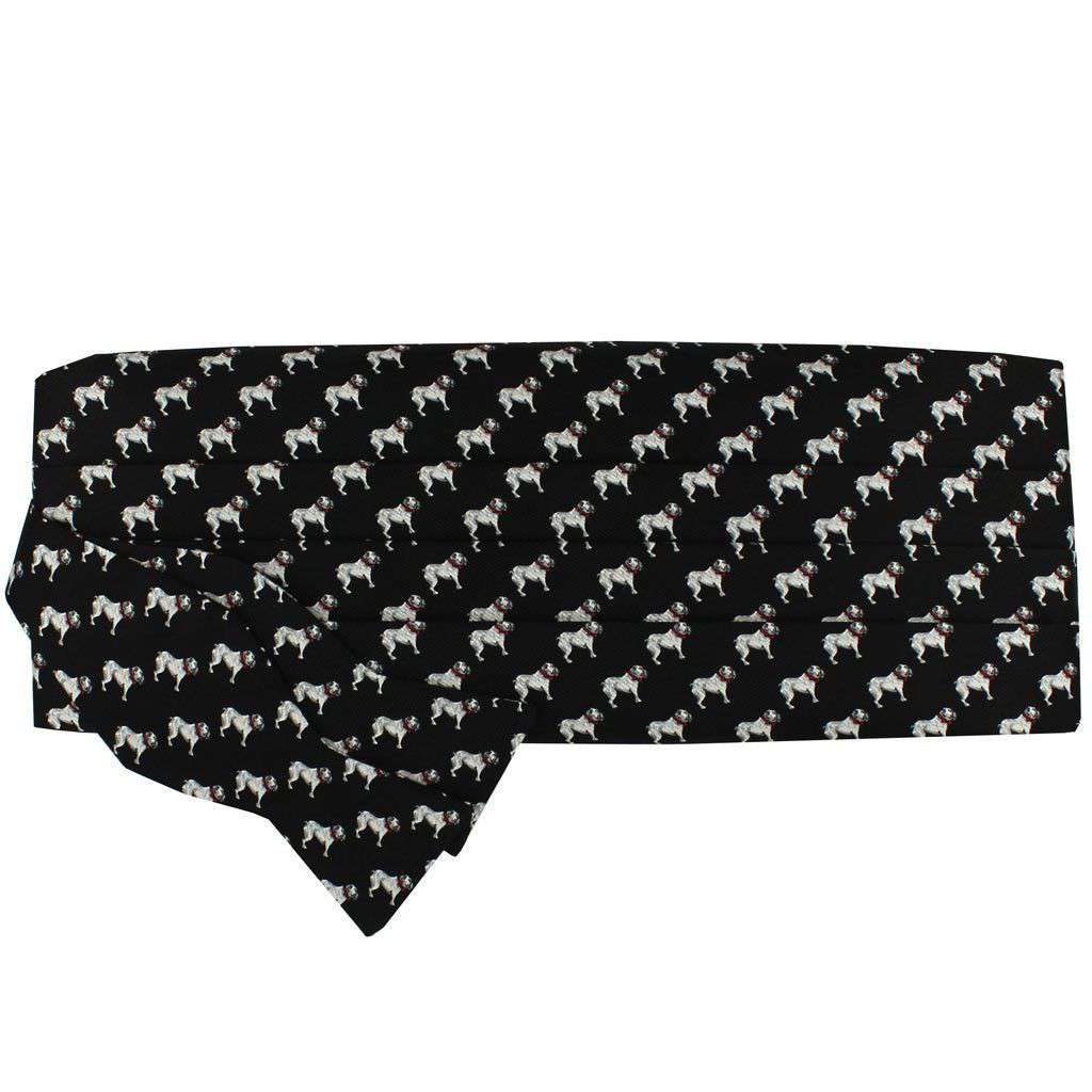 Bulldog Cummerbund and Bow Set in Black by Southern Proper - Country Club Prep