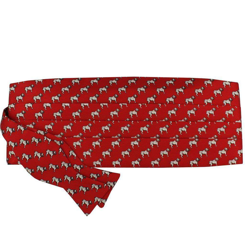 Southern Proper Bulldog Cummerbund and Bow Set in Red Country Club Prep