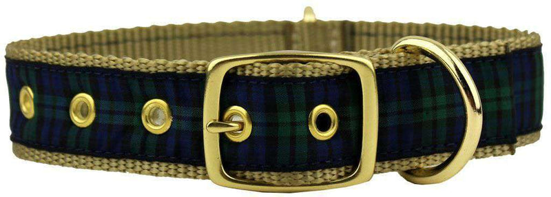 Black Watch Plaid Dog Collar in Green Plaid by Country Club Prep - Country Club Prep