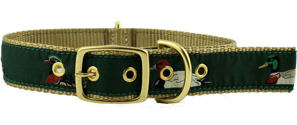 Dog Collar in Green Ribbon on Khaki Canvas with Ducks by Country Club Prep - Country Club Prep