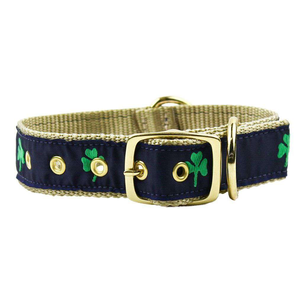Dog Collar in Navy Ribbon on Khaki Canvas with Shamrocks by Country Club Prep - Country Club Prep