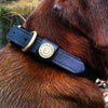 Finest in the Field Dog Collar in Leather by Over Under Clothing - Country Club Prep