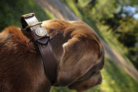 Finest in the Field Dog Collar in Leather by Over Under Clothing - Country Club Prep