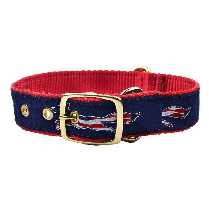 Patriotic Longshanks Dog Collar in Navy by Country Club Prep - Country Club Prep