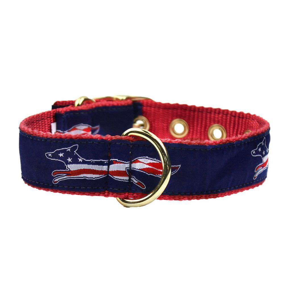 Patriotic Longshanks Dog Collar in Navy by Country Club Prep - Country Club Prep
