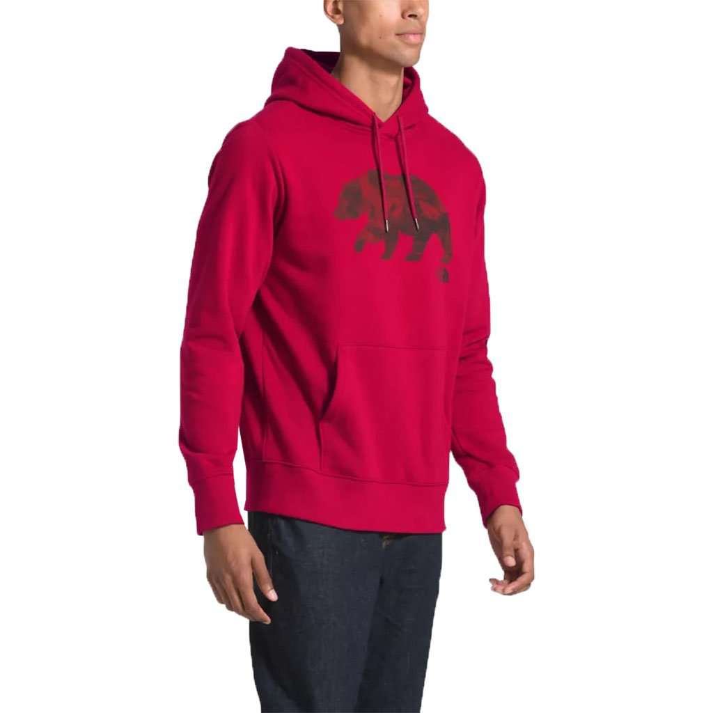 Men's Bearinda Pullover Hoodie by The North Face - Country Club Prep