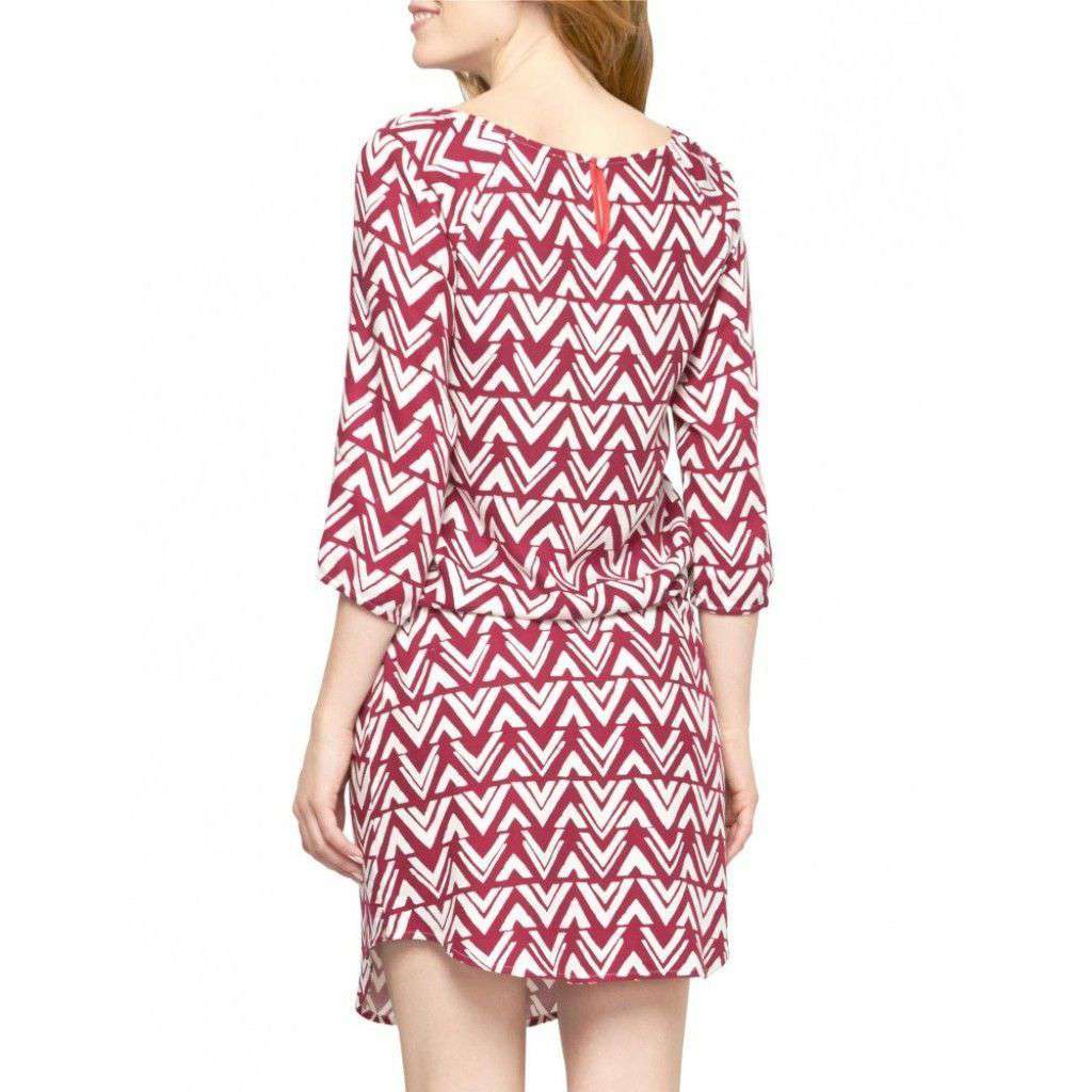 Blocked Chevron Dress in Pink with Cinch Waist by Haltey - Country Club Prep