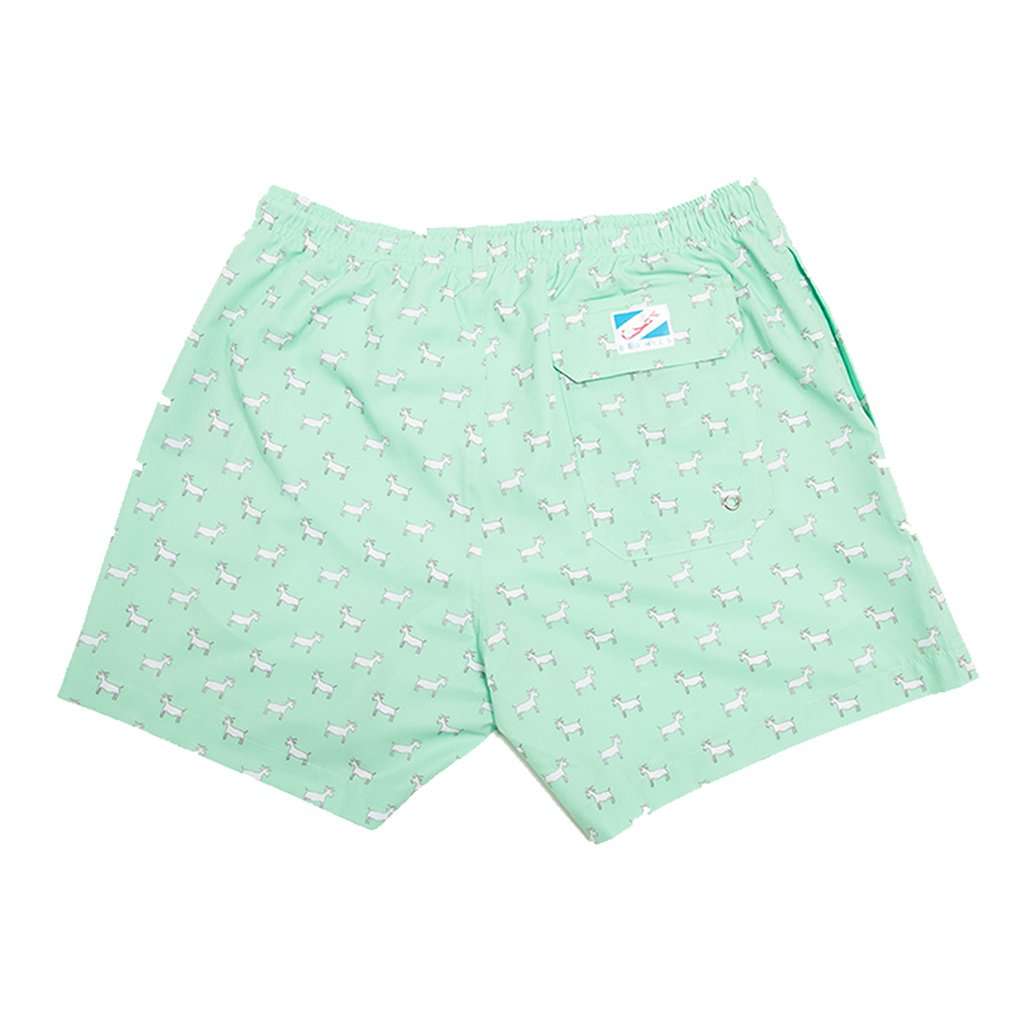 G.O.A.T. Swim Trunks by Bermies - Country Club Prep