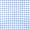 The "Hampton" Button Down in Light Blue Large Gingham by Mizzen + Main - Country Club Prep