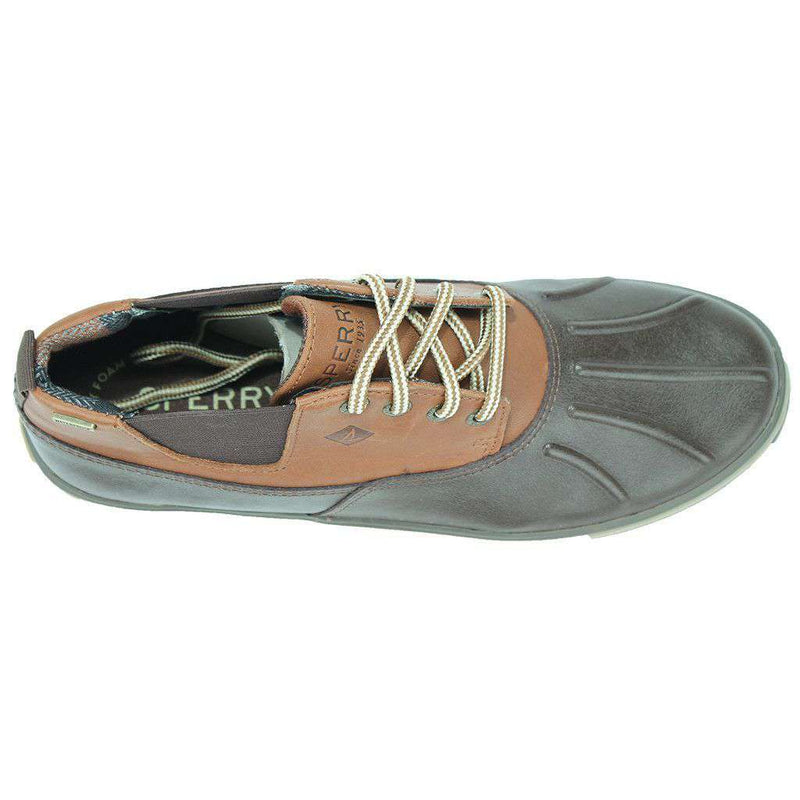 sperry fowl weather chukka