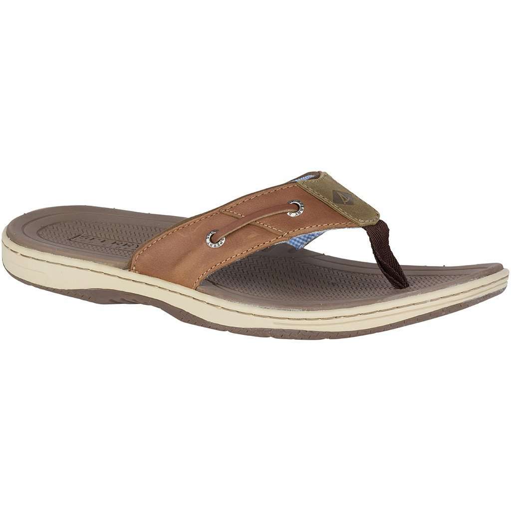 Men's Baitfish Thong in Tan Leather by Sperry - Country Club Prep